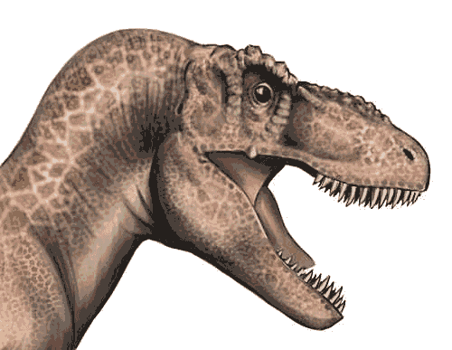 REX - with a 'T'